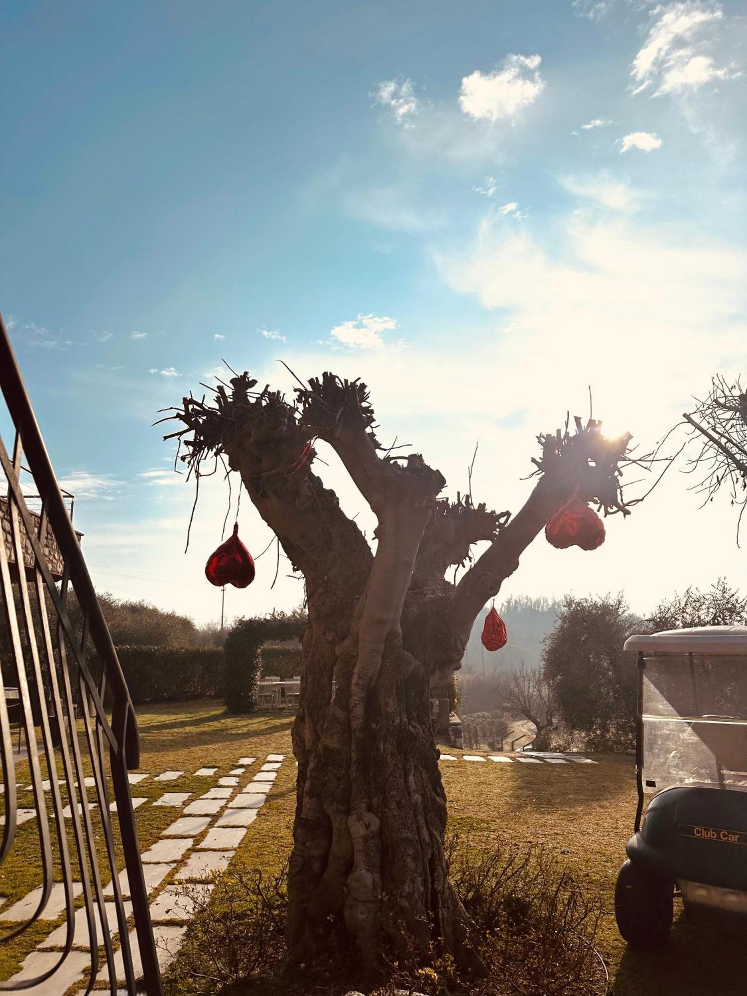 Holiday Home Sovenigo 푸에냐고 외부 사진