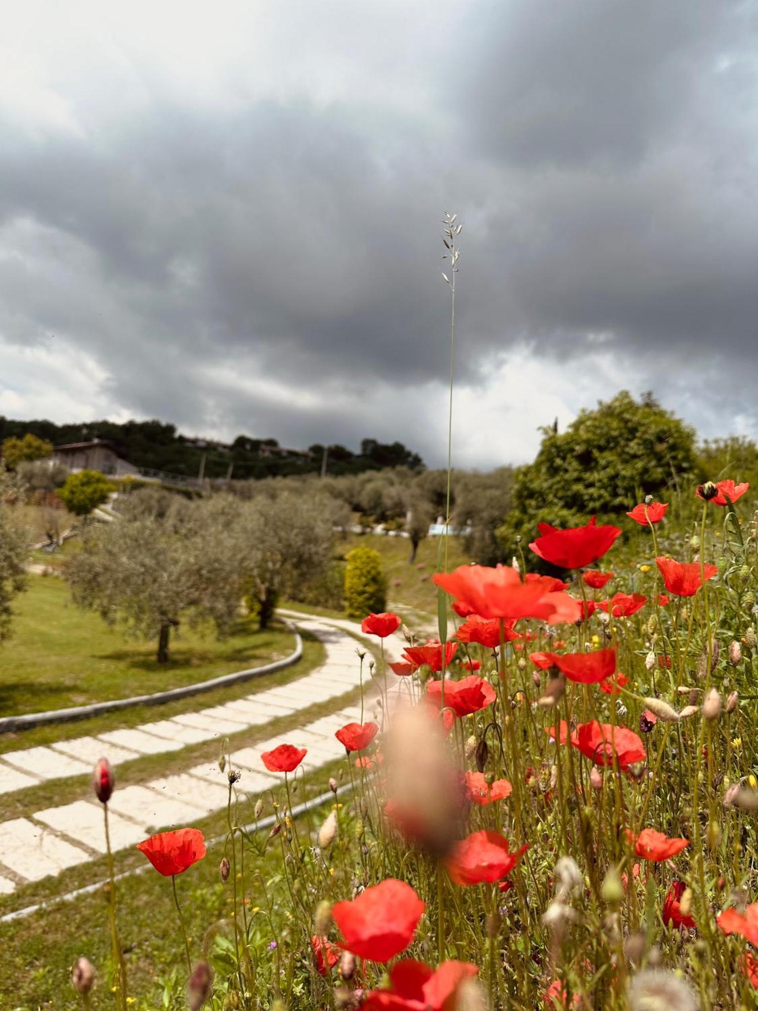 Holiday Home Sovenigo 푸에냐고 외부 사진