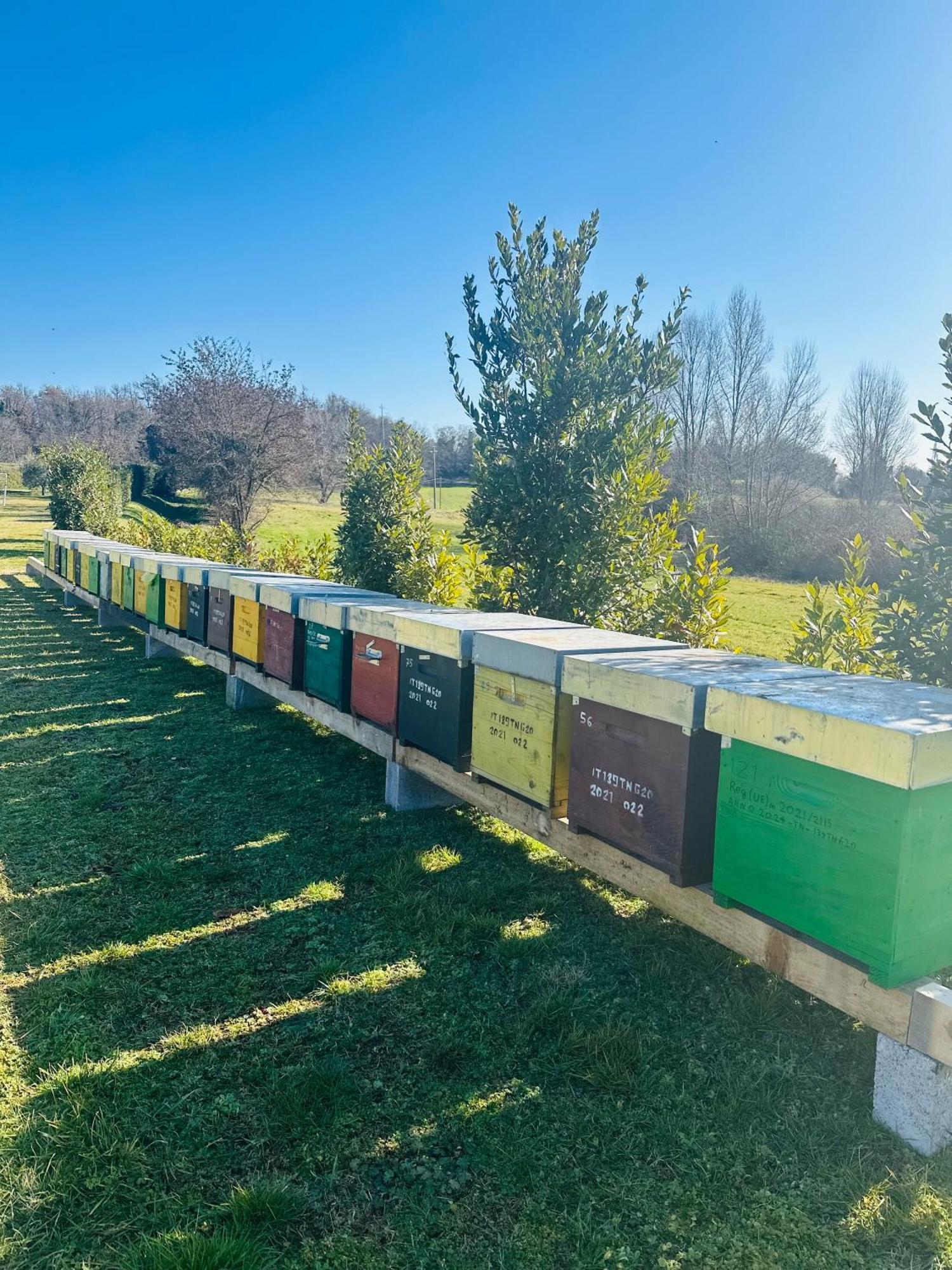 Holiday Home Sovenigo 푸에냐고 외부 사진